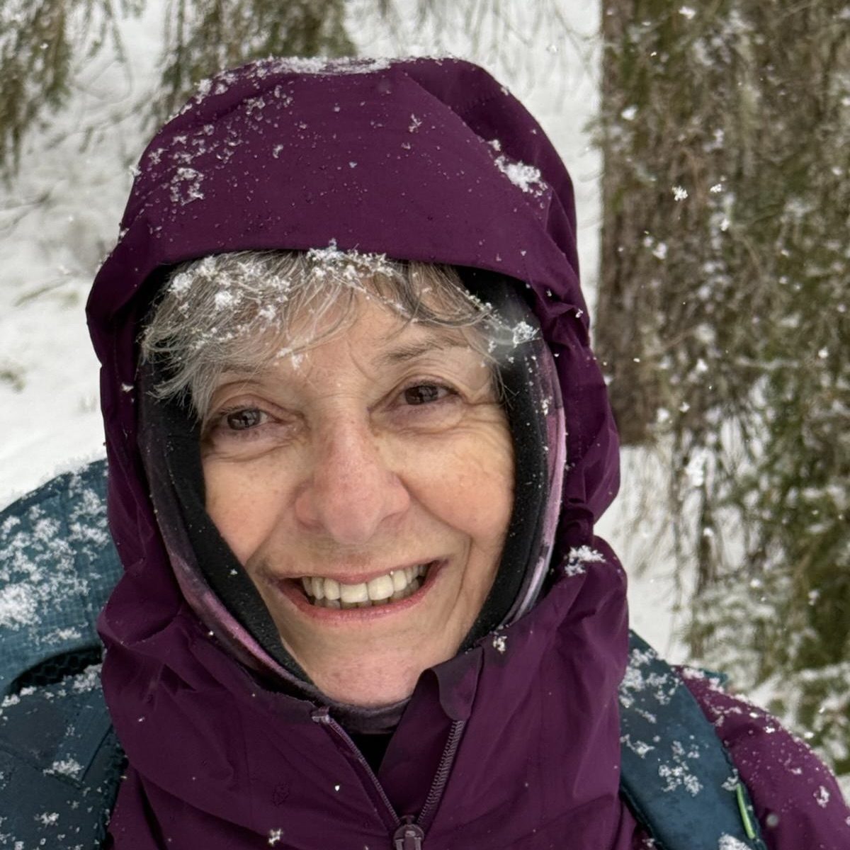 snowshoeing, snowshoes, hiking, winter, nature, snow, symbol, sign, icon, snowshoeing, snowshoeing, snowshoeing, snowshoeing, snowshoeing, snowshoes, snowshoes, snowshoes, snowshoes, snowshoes, hiking, hiking, hiking, hiking, hiking, snow