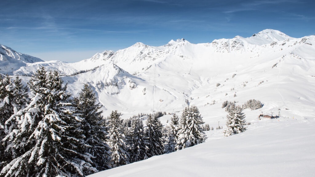 Le Levron
